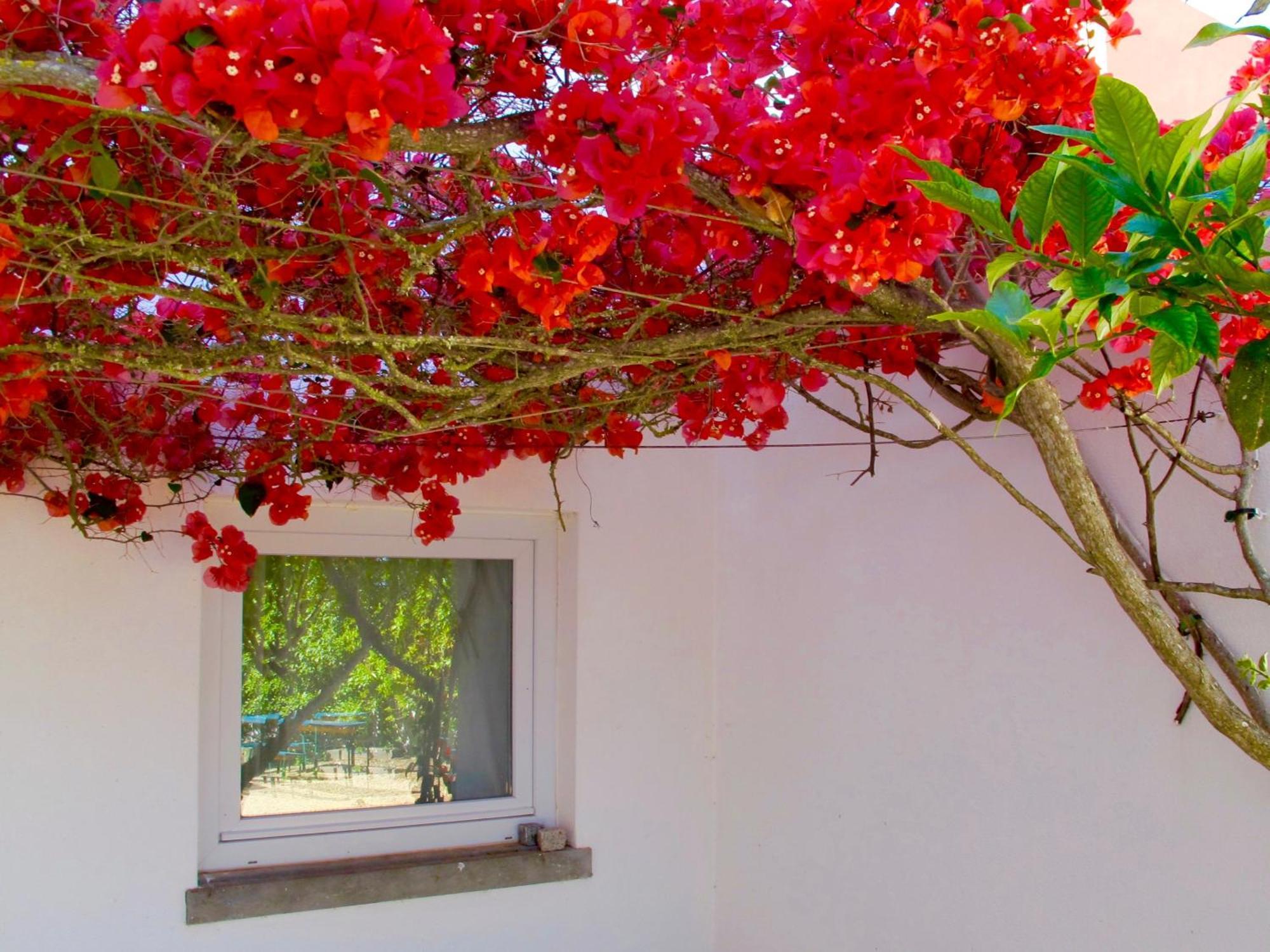 Seaya Villas Cascais Cameră foto